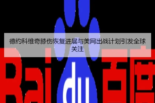 德约科维奇膝伤恢复进展与美网出战计划引发全球关注